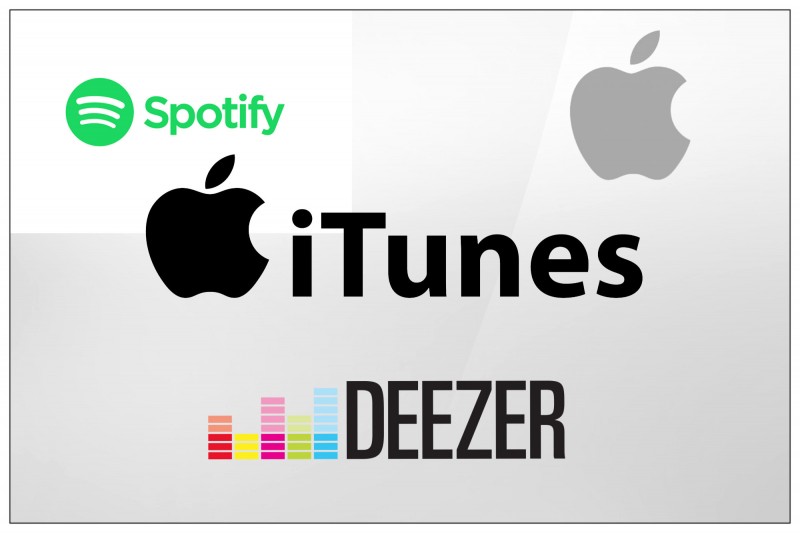 Kao jedan od najvećih problema domaće muzičke industrije je što nema velikih digitalnih platformi poput iTunes-a, Spotify-a i dr. “Postoji samo Deezer koji je pogrešno postavljen te nije dao očekivane rezultate. Takođe, Srbije nema ni u Apple sistemu, korisnici u Srbiji moraju svoje aplikacije da skidaju sa hrvatskih servera